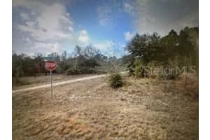 13274 CALOOSA DRIVE, PUNTA GORDA, FL 33955 - MLS#MFRC7523538