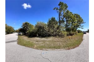 22364 ALBANY AVENUE, PORT CHARLOTTE, FL 33952 - MLS#MFRC7523698