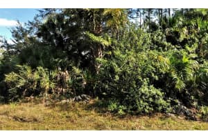 BOLUS, NORTH PORT, FL 34288 - MLS#MFRC7523702