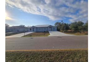 29469 Peace River Shores Blvd, PUNTA GORDA