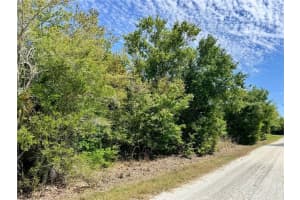 27054 MINGO DRIVE, PUNTA GORDA, FL 33955 - MLS#MFRC7523854