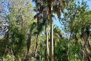 22901 BAYSHORE ROAD, PUNTA GORDA, FL 33980 - MLS#MFRC7523987