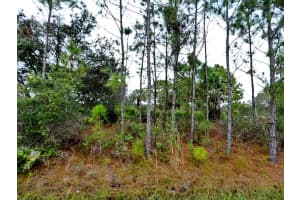 LOFFREDA LOT #8 AVE, NORTH PORT, FL 34291 - MLS#MFRC7524103