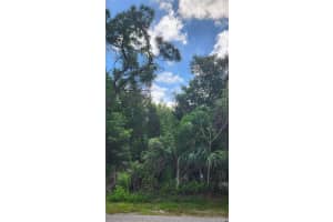 417 VERONA STREET, PORT CHARLOTTE, FL 33948 - MLS#MFRC7524169
