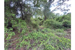 4529 28TH STREET, LEHIGH ACRES, FL 33973 - MLS#MFRC7524387