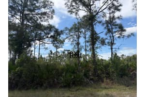 28131 RAMIRO DRIVE, PUNTA GORDA, FL 33955 - MLS#MFRC7524872