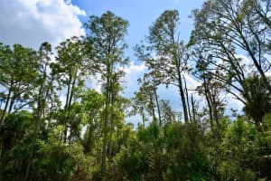 GREENLEY RD, NORTH PORT, FL 34286 - MLS#MFRC7524952