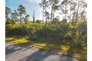 BLUELEAF DR, NORTH PORT, FL 34288 - MLS#MFRC7524976
