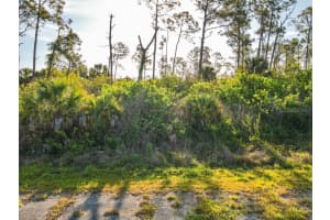 BLUELEAF DR, NORTH PORT, FL 34288 - MLS#MFRC7524976