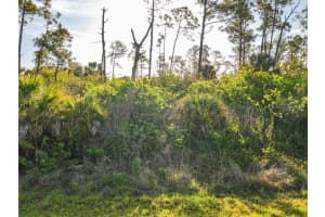 BLUELEAF DR, NORTH PORT, FL 34288 - MLS#MFRC7524976