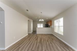 15411 PEACH STONE PLACE, RUSKIN, FL 33573 - MLS#MFRC7525016