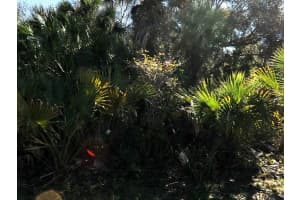 LAKEPORT ST, NORTH PORT, FL 34288 - MLS#MFRC7525048