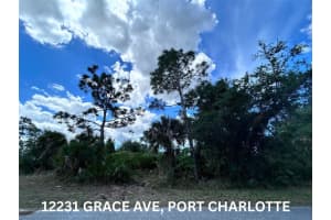 12231 GRACE AVENUE, PORT CHARLOTTE, FL 33981 - MLS#MFRC7525055