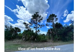12231 GRACE AVENUE, PORT CHARLOTTE, FL 33981 - MLS#MFRC7525055