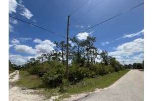29305 HAZELWOOD DRIVE, PUNTA GORDA, FL 33982 - MLS#MFRC7525505