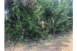 DANDURAND AVE, NORTH PORT, FL 34291 - MLS#MFRC7525681