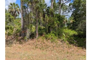 DELIGHT AVE, NORTH PORT, FL 34288 - MLS#MFRC7525804