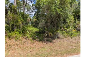DELIGHT AVE, NORTH PORT, FL 34288 - MLS#MFRC7525804