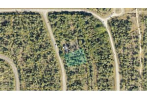 BIGFLOWER AVE, NORTH PORT, FL 34288 - MLS#MFRC7525928