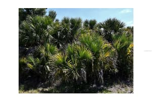 BIGFLOWER AVE, NORTH PORT, FL 34288 - MLS#MFRC7525928