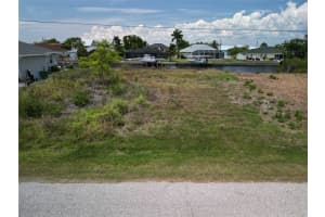12414 QUINLAN AVENUE, PORT CHARLOTTE, FL 33981 - MLS#MFRC7526053