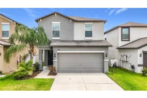 7405 Evening Primrose Ct, TAMPA