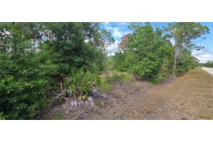27408 MANDALAY DRIVE, PUNTA GORDA, FL 33955 - MLS#MFRC7526272