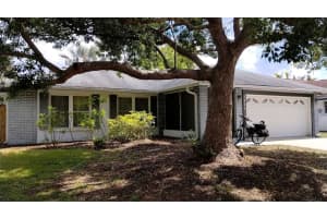 2825 Wendover Ter, PALM HARBOR