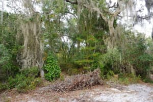 WEST PKWY, DELAND, FL 32724 - MLS#MFRC7526888