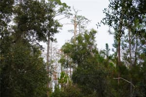 WEST PKWY, DELAND, FL 32724 - MLS#MFRC7526888