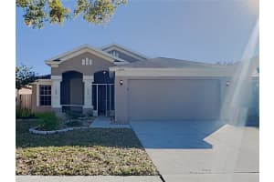 12306 Twinkling Star Pl, RIVERVIEW 12306 Twinkling Star Pl, RIVERVIEW