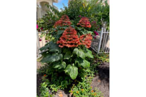 1036 Topelis Dr, Englewood, FL 34223, Sold 03/10/22