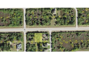 13377 APPLETON BOULEVARD, PORT CHARLOTTE, FL 33981 - MLS#MFRD6123841