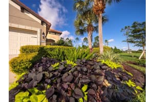229 ALENTO CT, NOKOMIS, FL 34275 Sold 02/03/23