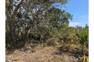 9220 RAVEL STREET, PORT CHARLOTTE, FL 33981 - MLS#MFRD6129620