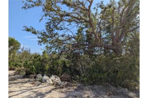 9228 RAVEL STREET, PORT CHARLOTTE, FL 33981 - MLS#MFRD6129623
