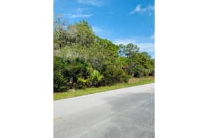 14036 CHAMBERLAIN BOULEVARD, PORT CHARLOTTE, FL 33953 - MLS#MFRD6131635