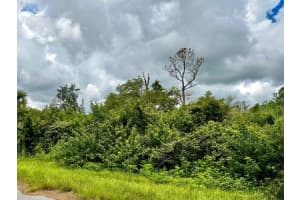 RAVEN ST, NORTH PORT, FL 34286 - MLS#MFRD6131654