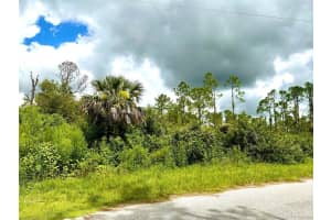 RAVEN ST, NORTH PORT, FL 34286 - MLS#MFRD6131654