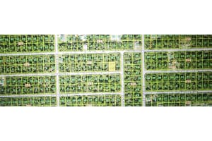 18198 GARTH AVENUE, PORT CHARLOTTE, FL 33948 Sold 03/25/26