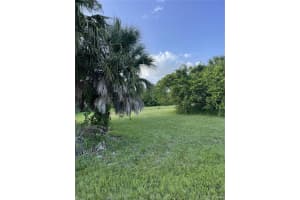 160 SPYGLASS ALLEY, PLACIDA, FL 33946 - MLS#MFRD6132398