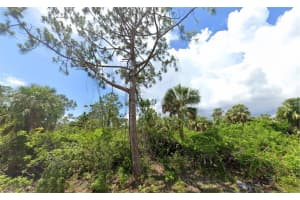 13465 & 13473 BENDER AVENUE, PORT CHARLOTTE, FL 33953 - MLS#MFRD6132520