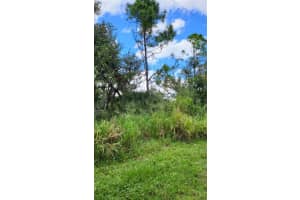 25 EVARO DRIVE, PORT CHARLOTTE, FL 33954 - MLS#MFRD6132866