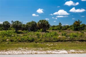 15101 CHINOOK WAY, PORT CHARLOTTE, FL 33981 - MLS#MFRD6136401