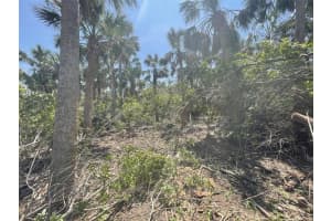 PALM POINT WAY, PLACIDA, FL 33946 - MLS#MFRD6137427