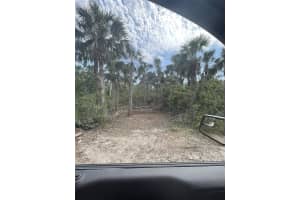 PALM POINT WAY, PLACIDA, FL 33946 - MLS#MFRD6137427