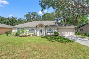 7313 LINDHURST STREET, SPRING HILL, FL 34606 Sold 12/16/24