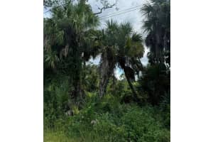 DUMONT LN, NORTH PORT, FL 34286 Sold 10/30/24