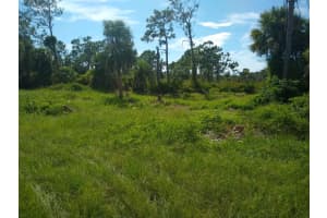 135 LONG MEADOW (LOT 154) LANE, ROTONDA WEST, FL 33947 Sold 02/10/25