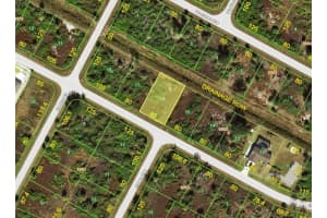 12238 HELICON AVENUE, PORT CHARLOTTE, FL 33981 - MLS#MFRD6138353